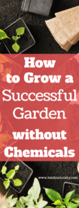 successful garden