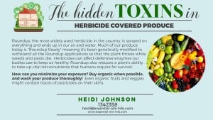 food toxins