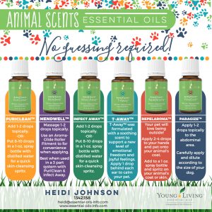 animal scents oils