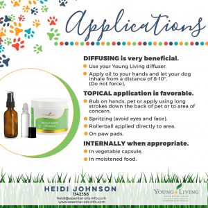 application of essential oils for dogs