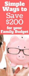 Simple Ways to Save $200 for your Family Budget