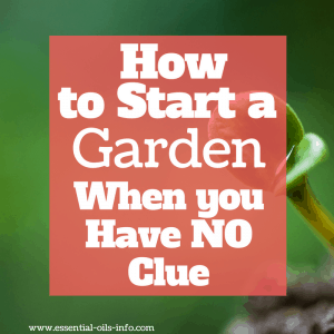 How to Start a Garden When You Have NO Clue
