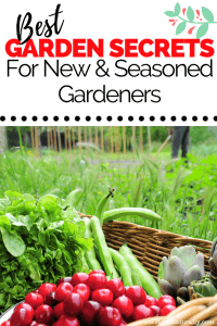start a garden