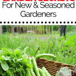 garden pin 6 start a garden
