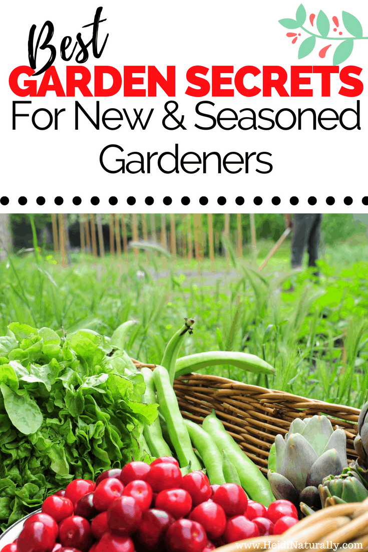 Follow these simple tips to know how to start a garden successfully. Learn the most important steps needed to start, grow and maintain a healthy garden.