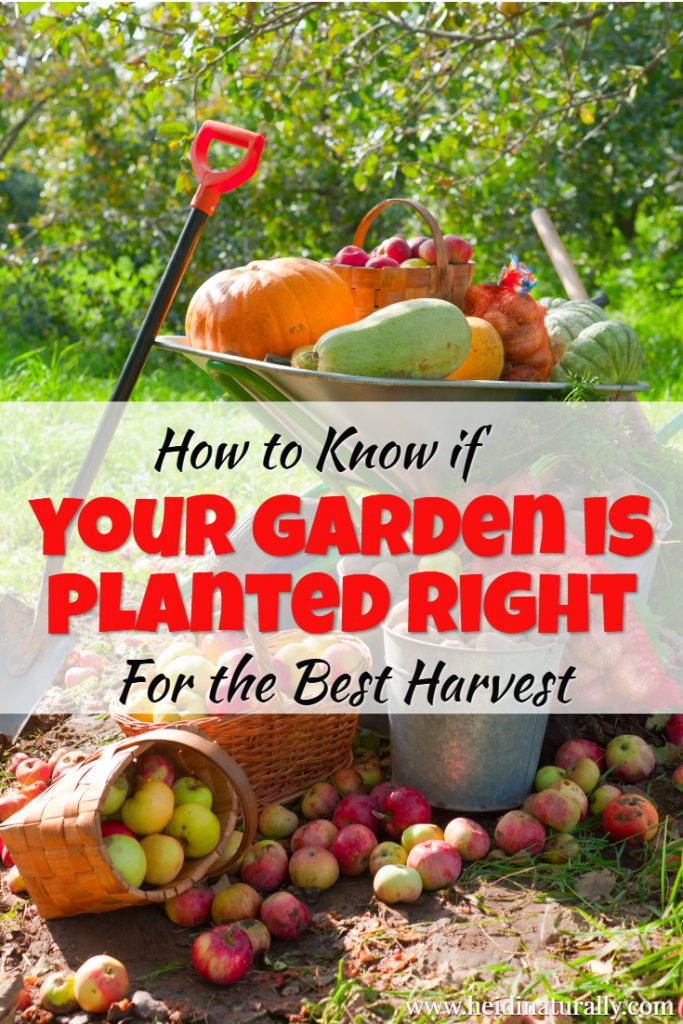 how to know if your garden is planted right