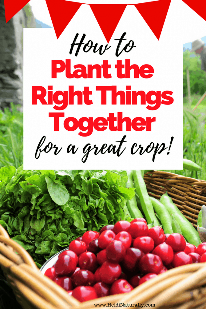 plant the right things together