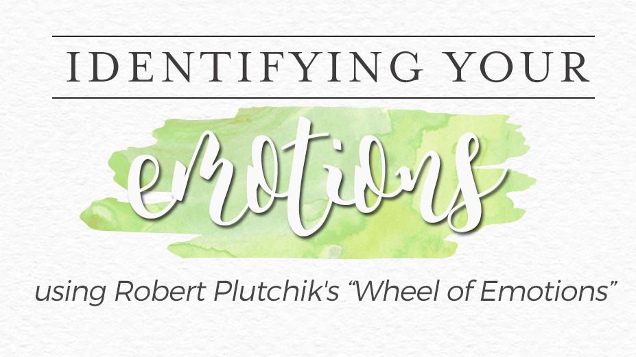 identify emotions plutchick