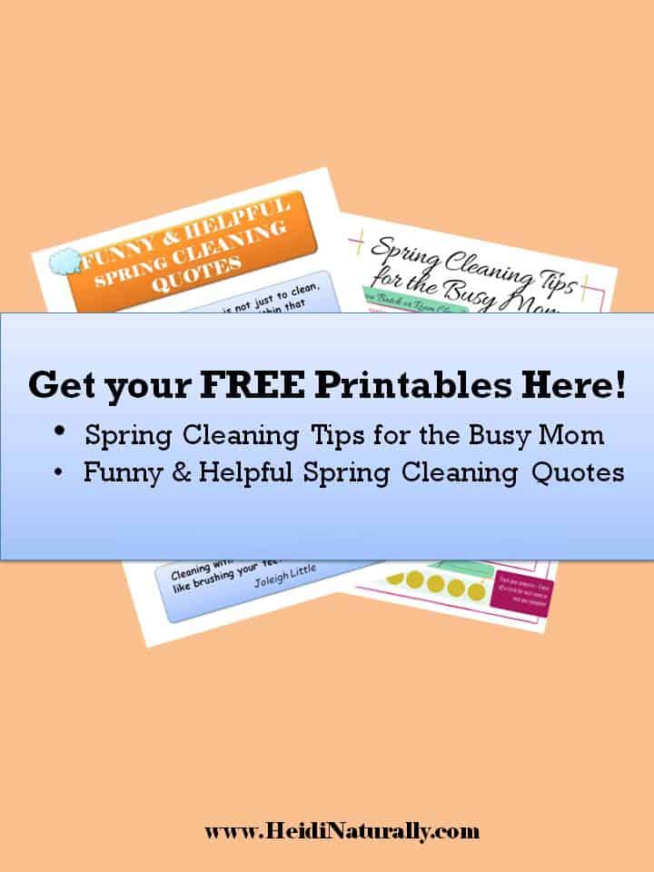 Simple Tips to Spring Cleaning Your House the Easy Way