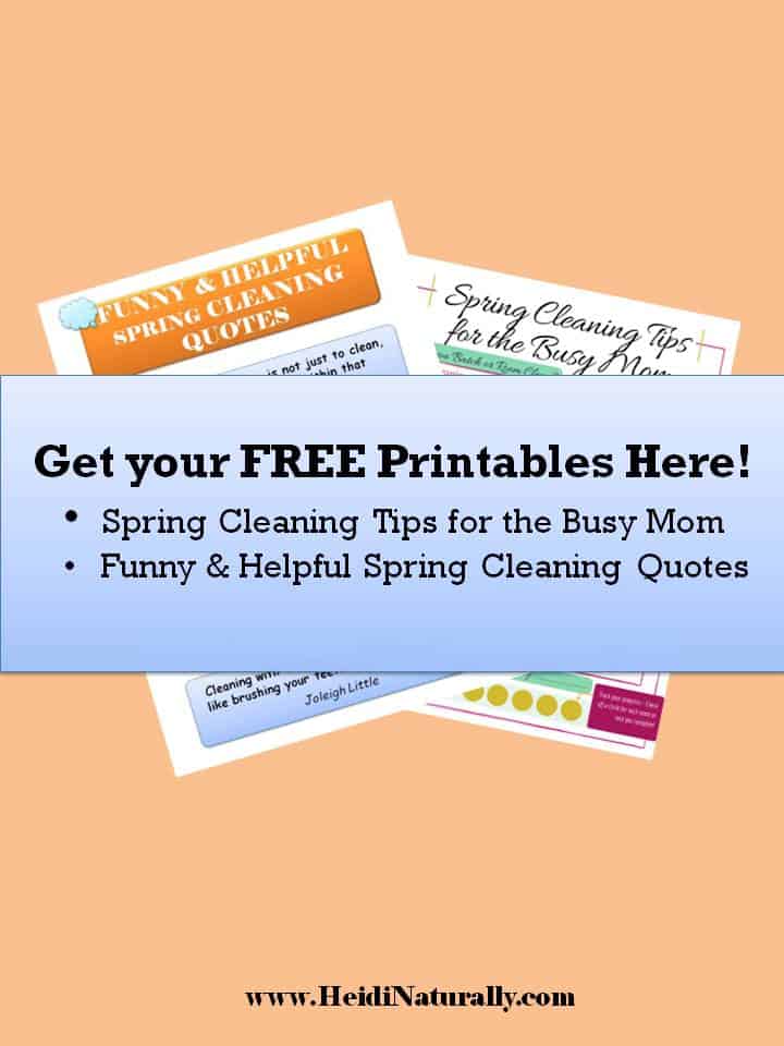 spring cleaning printables