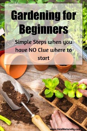 start a garden