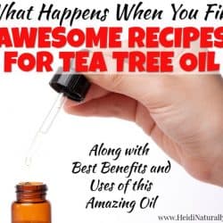 tea tree fb 3 best tea tree oil