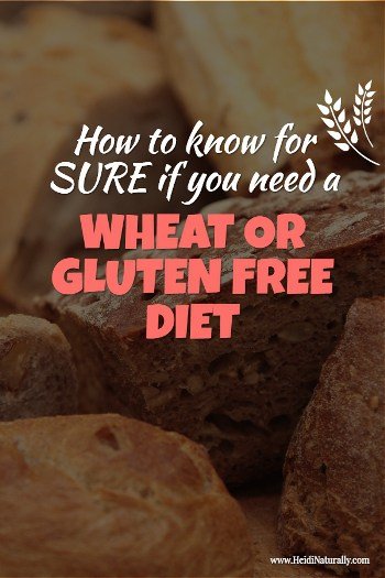 wheat and gluten free