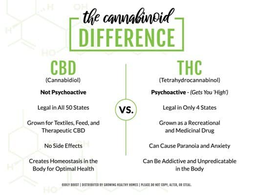 CBD THC